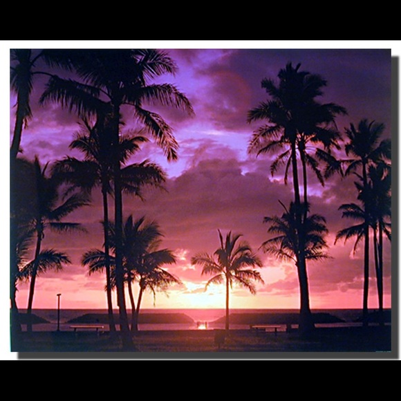 Meet your Posher, Paul - Picture 1 of 1